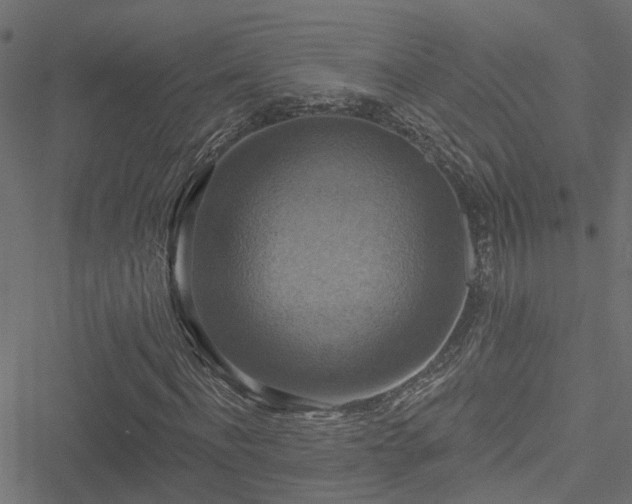 X0000051260916200506171157