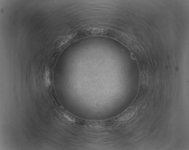 X0000051260962200506171157