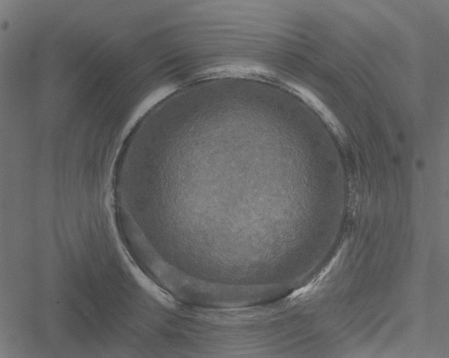 X0000051261042200506171156