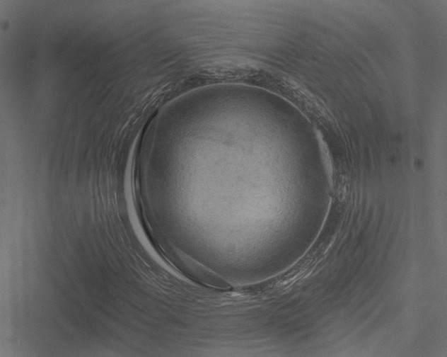 X0000051261108200506171154