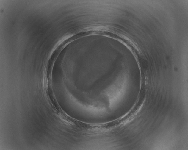 X0000051261117200506171154