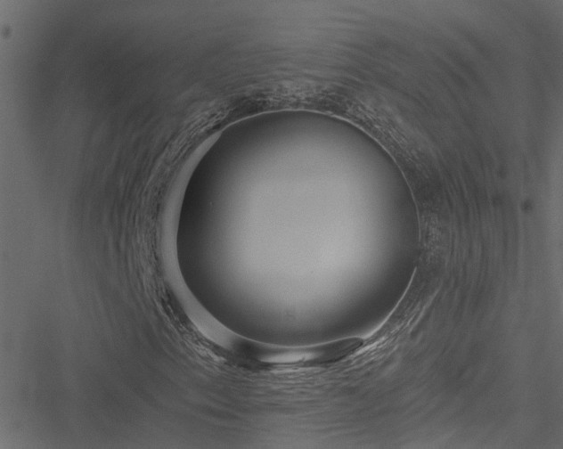 X0000051261153200506171154