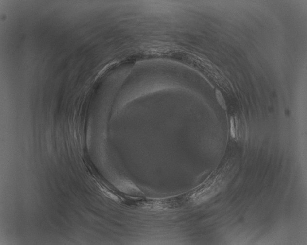 X0000051261155200506171154