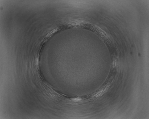 X0000051261156200506171154