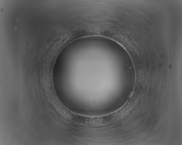 X0000051261201200506171152