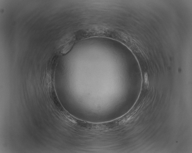 X0000051261203200506171152