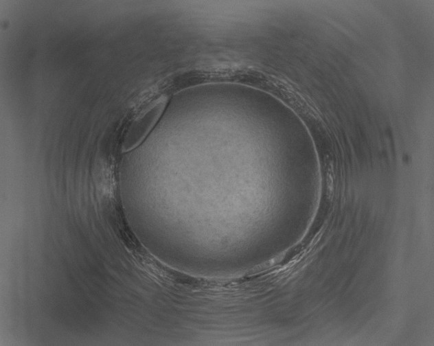 X0000051261204200506171152