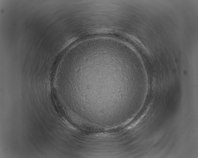 X0000051261209200506171152