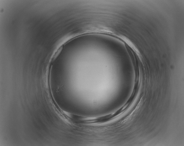 X0000051261246200506171153