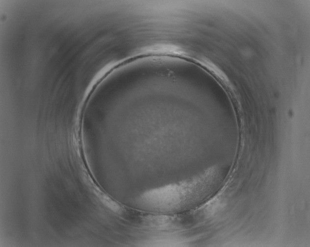 X0000051261248200506171153
