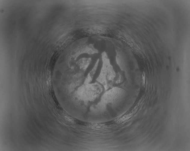 X0000051261251200506171152