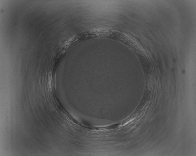 X0000051261298200506171151