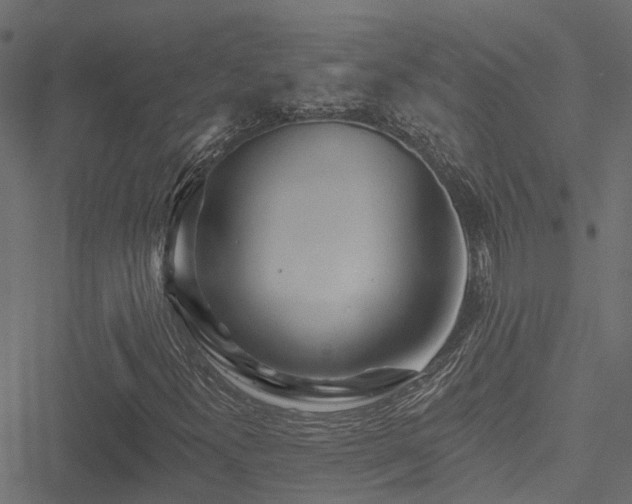X0000051261300200506171151