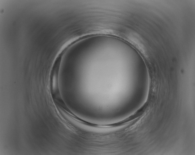 X0000051261332200506171151