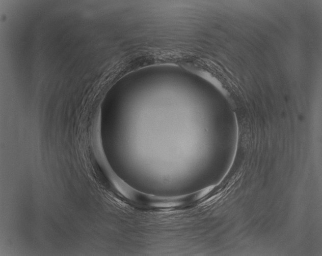 X0000051261345200506171151