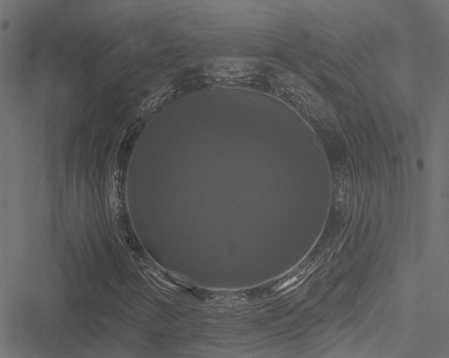 X0000051261346200506171151