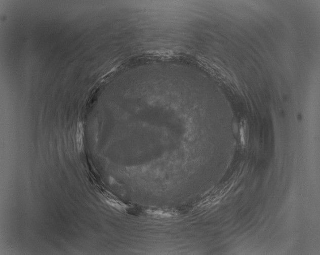 X0000051261347200506171151