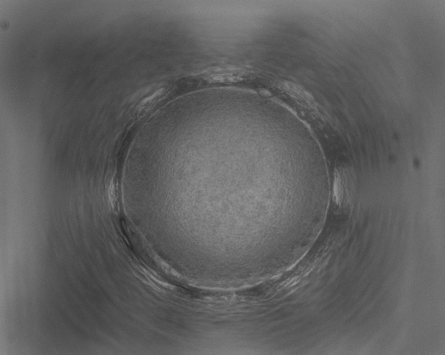 X0000051261444200506171149