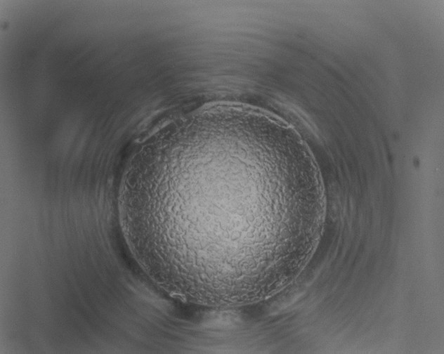 X0000051260077200506241623