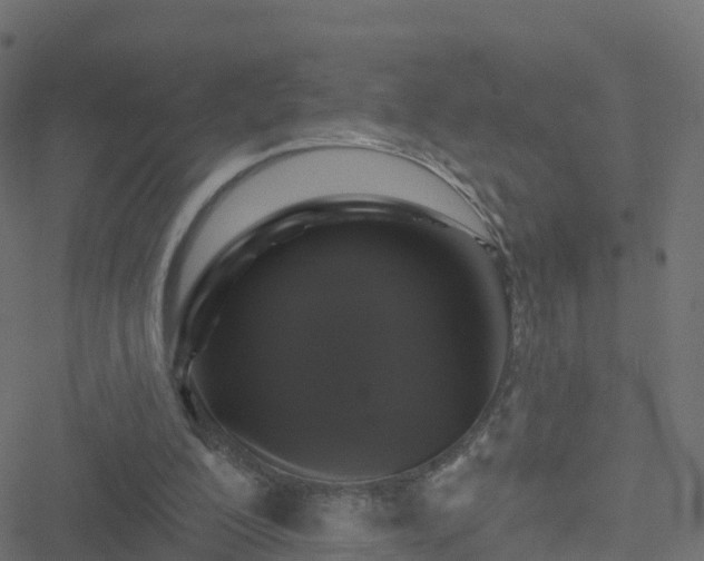 X0000051260200200506241620