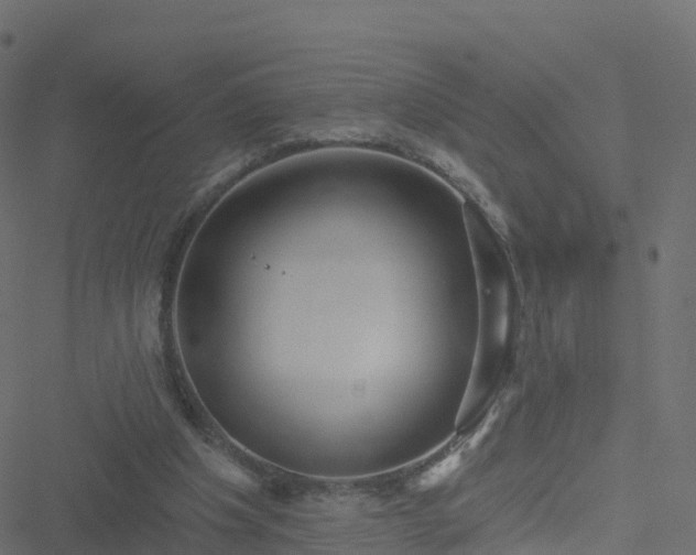 X0000051260201200506241620