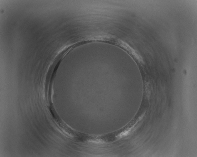 X0000051260203200506241620