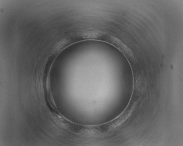 X0000051260209200506241620