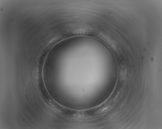 X0000051260211200506241620