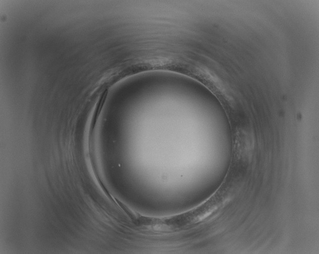 X0000051260212200506241620