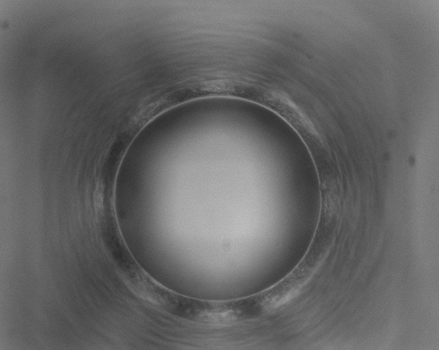 X0000051260213200506241620