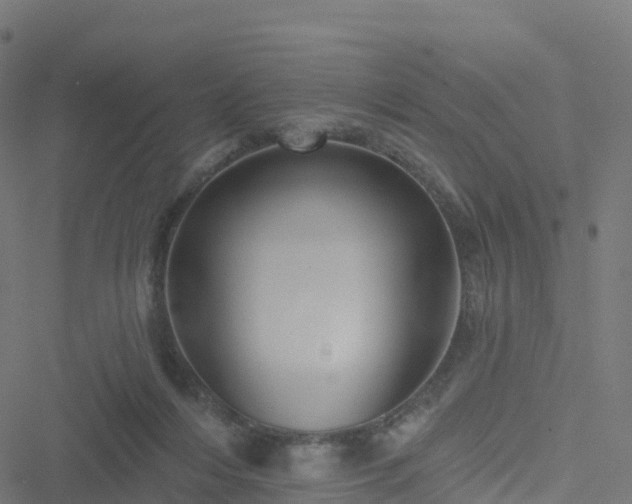 X0000051260216200506241620