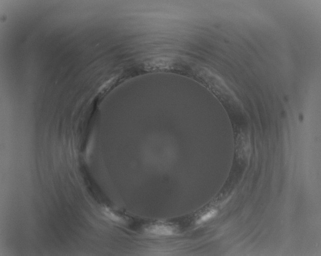 X0000051260224200506241620