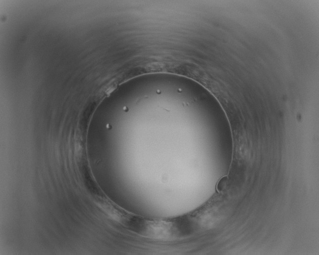 X0000051260226200506241620