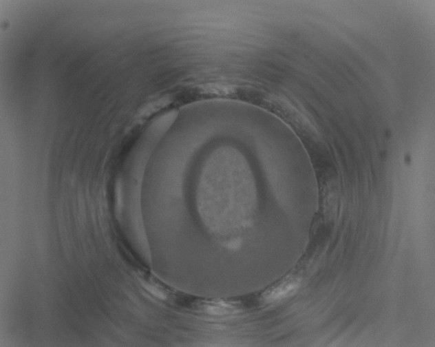 X0000051260229200506241620