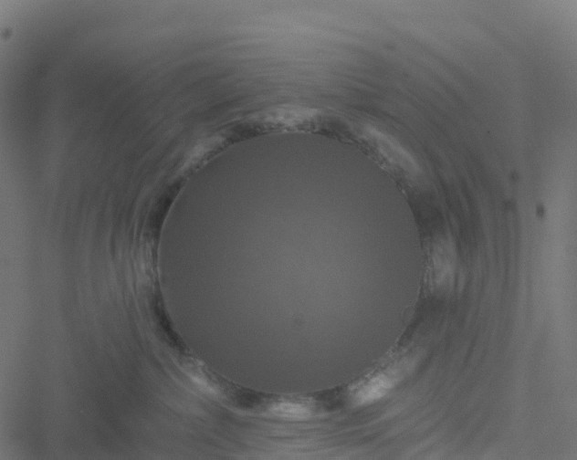 X0000051260236200506241620