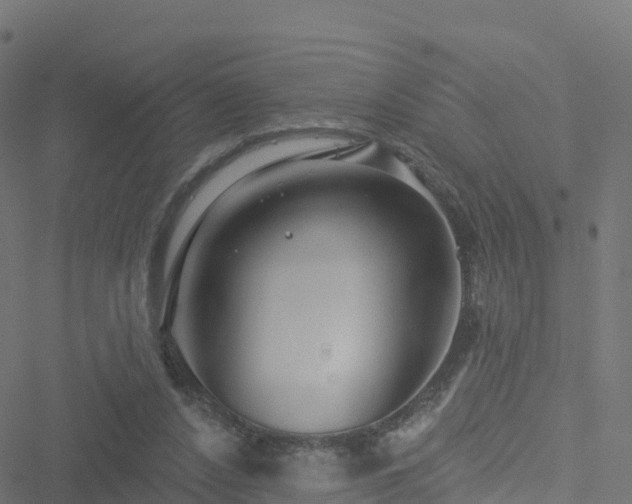 X0000051260256200506241619