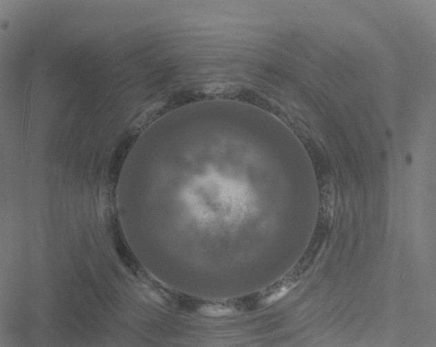 X0000051260272200506241620