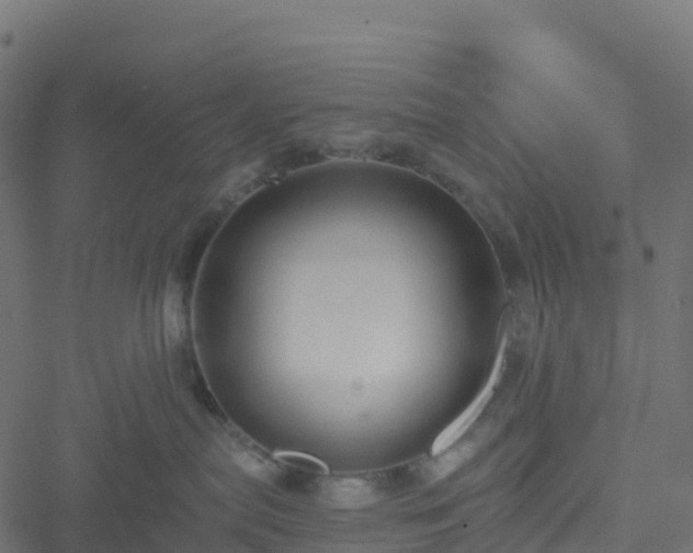 X0000051260287200506241620