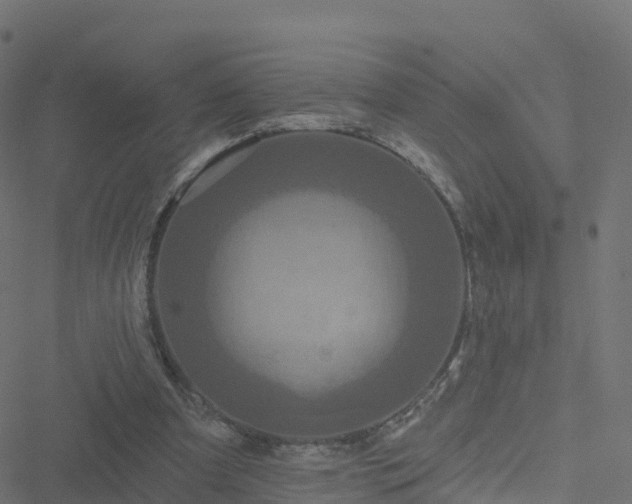 X0000051260297200506241619