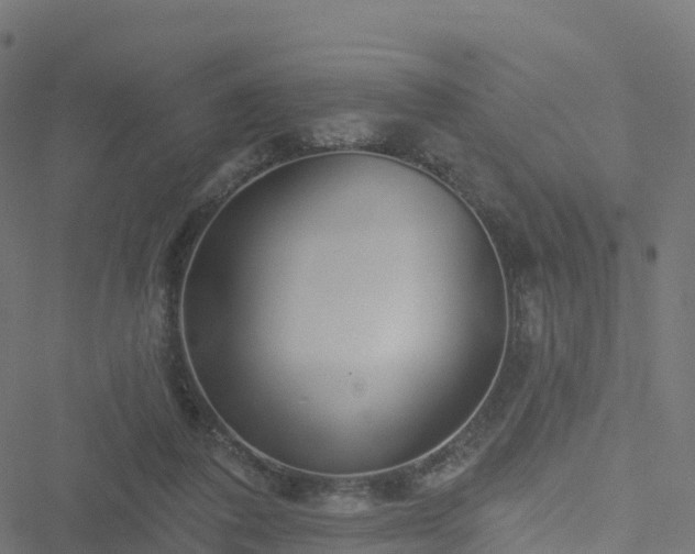 X0000051260308200506241619