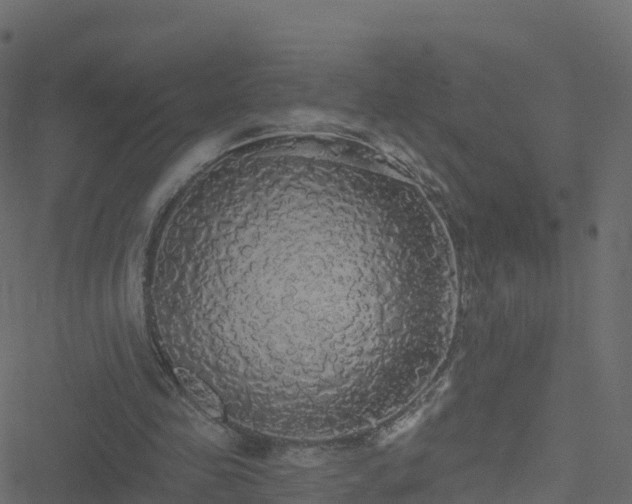 X0000051260341200506241617