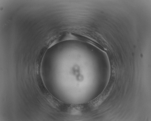 X0000051260368200506241618
