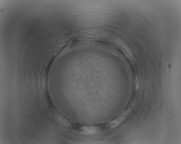 X0000051260417200506241617