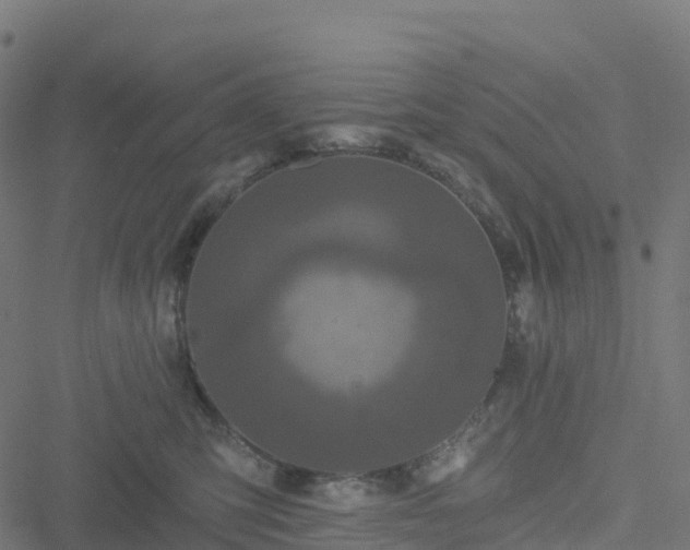 X0000051260423200506241617