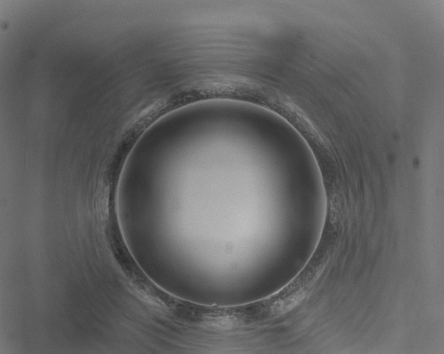 X0000051260454200506241616