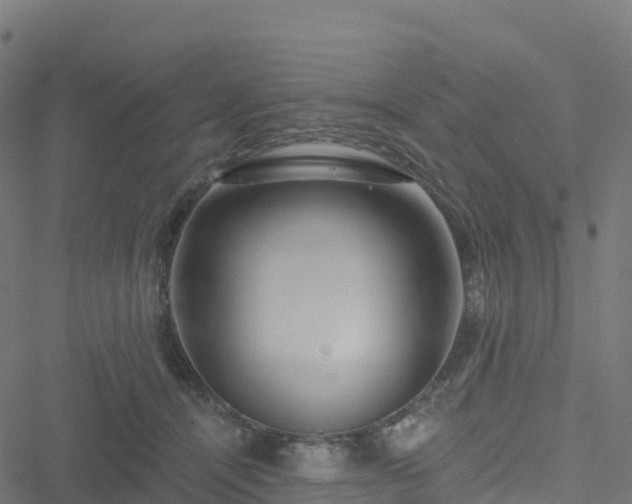 X0000051260464200506241616