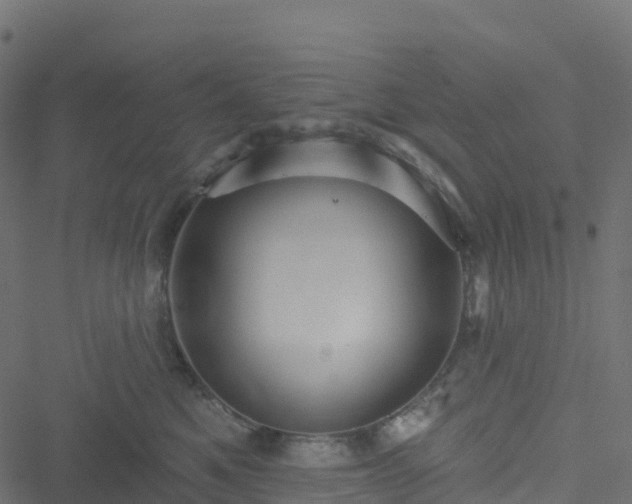X0000051260521200506241615