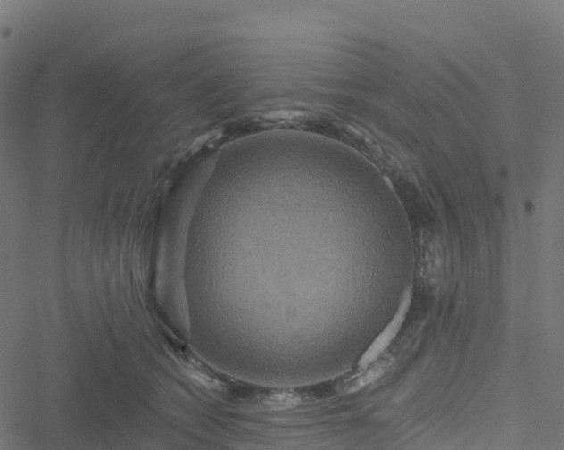 X0000051260562200506241615