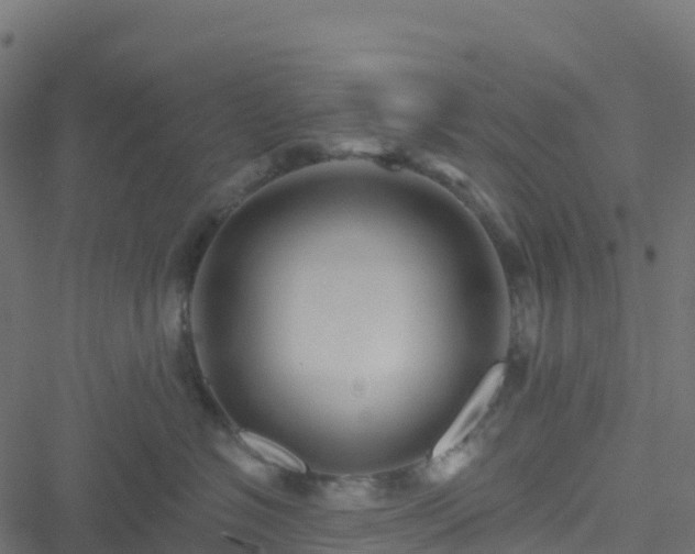 X0000051260574200506241615
