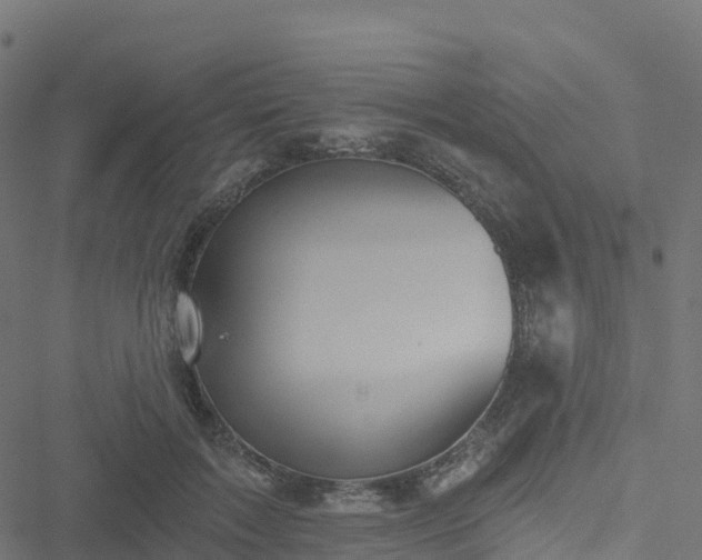X0000051260603200506241614